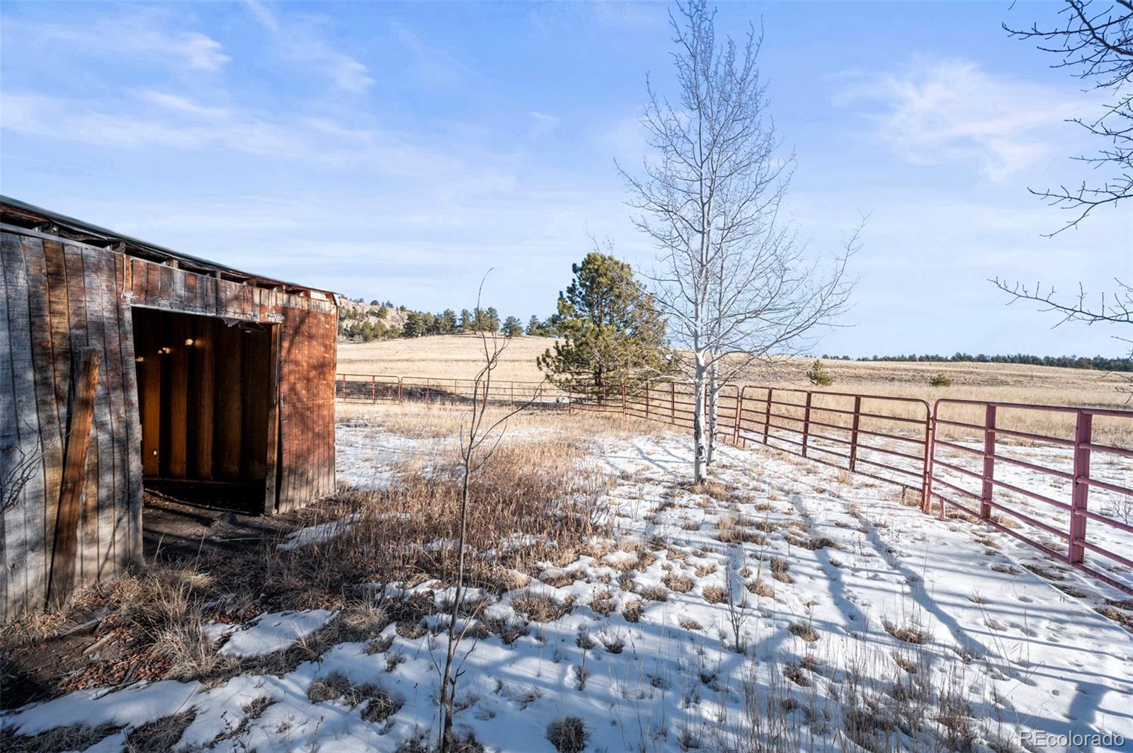 546 Alpine Meadows Lane Florissant CO 80816