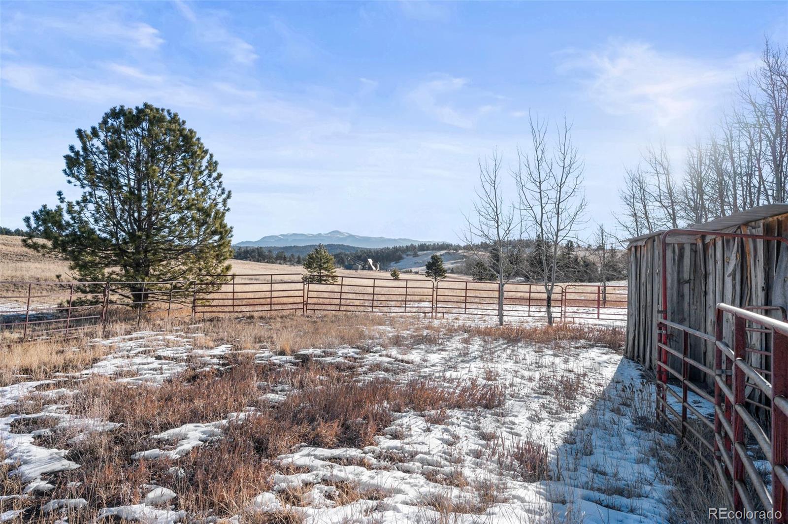 546 Alpine Meadows Lane Florissant CO 80816
