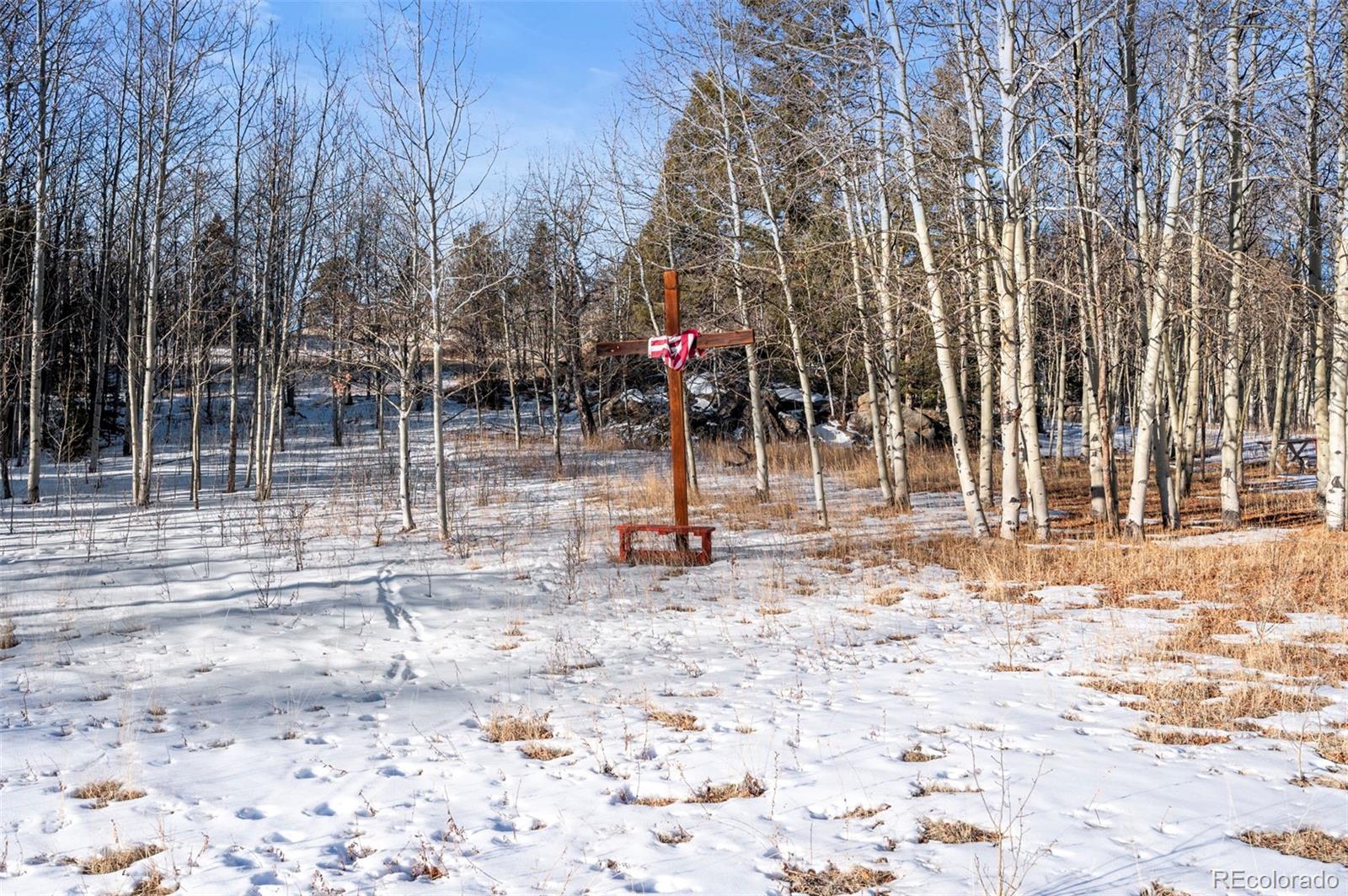 546 Alpine Meadows Lane Florissant CO 80816