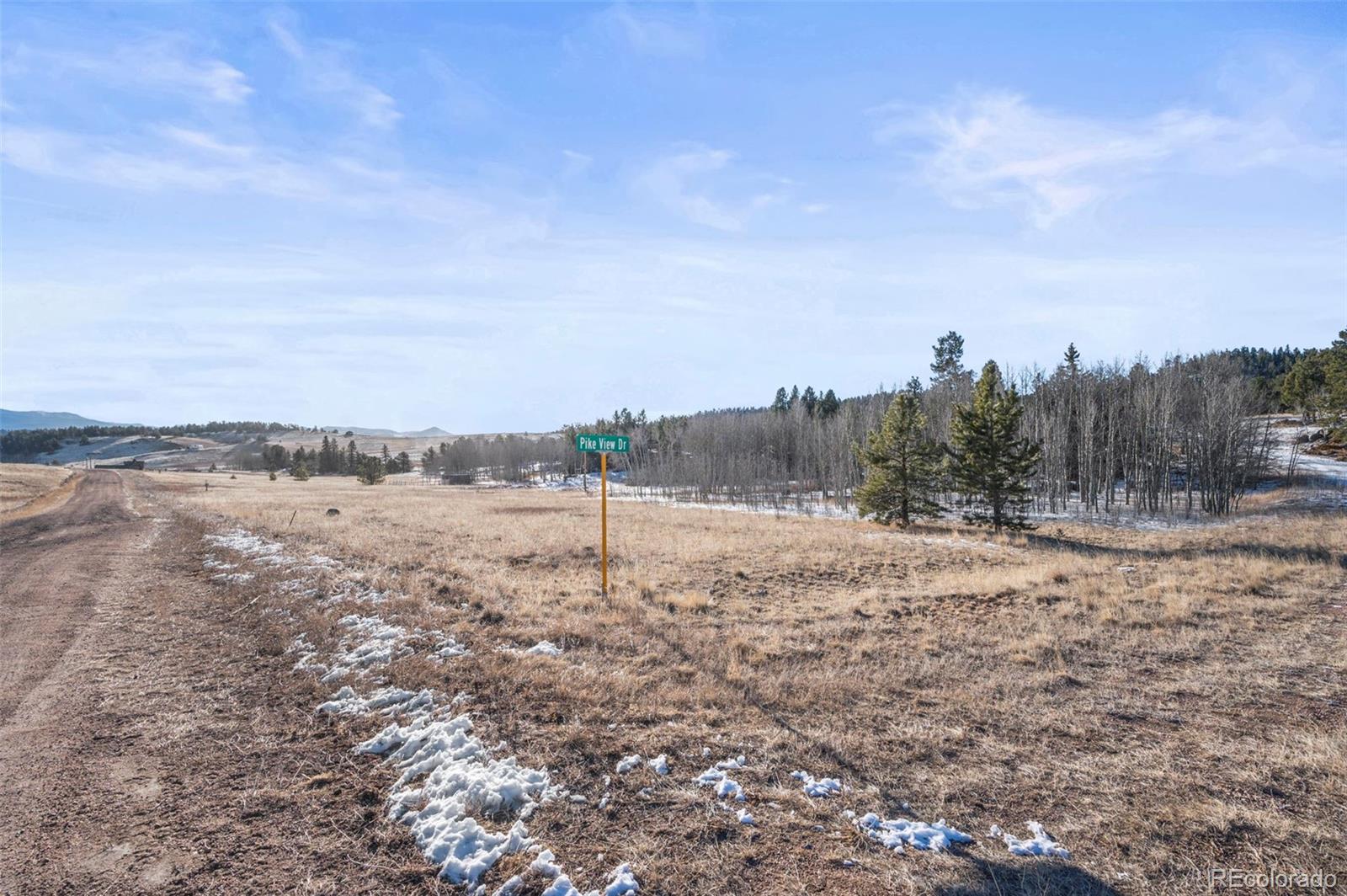 546 Alpine Meadows Lane Florissant CO 80816