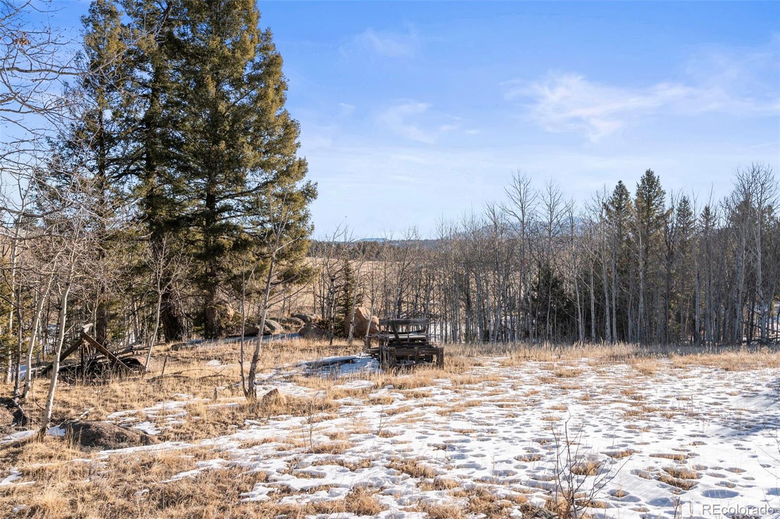 546 Alpine Meadows Lane Florissant CO 80816