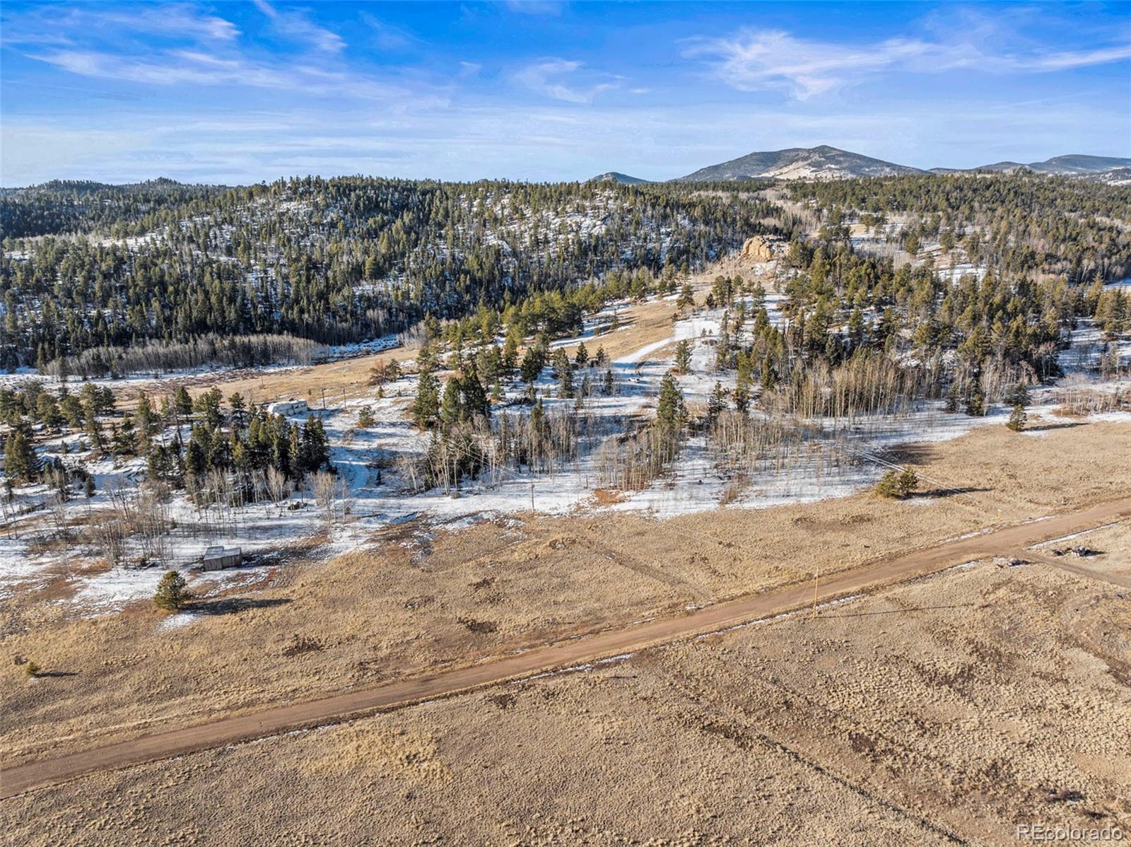 546 Alpine Meadows Lane Florissant CO 80816