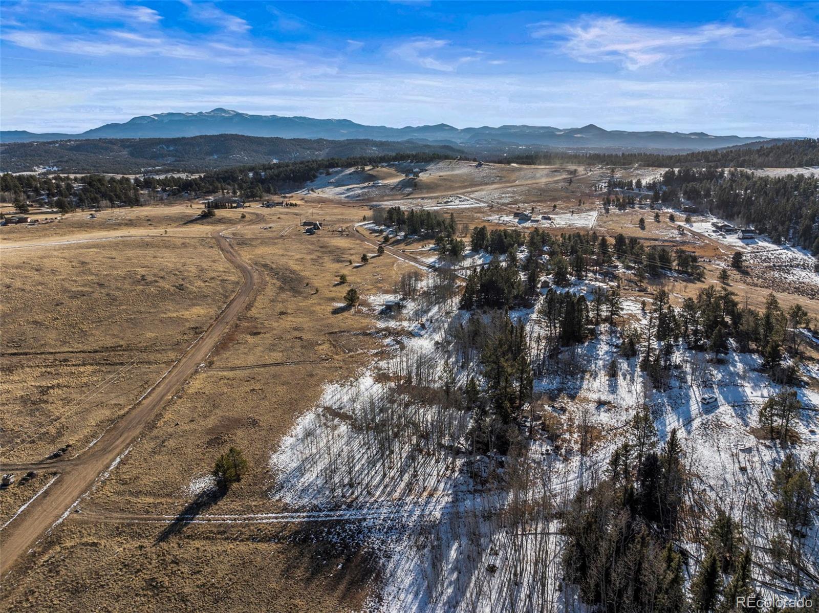 546 Alpine Meadows Lane Florissant CO 80816