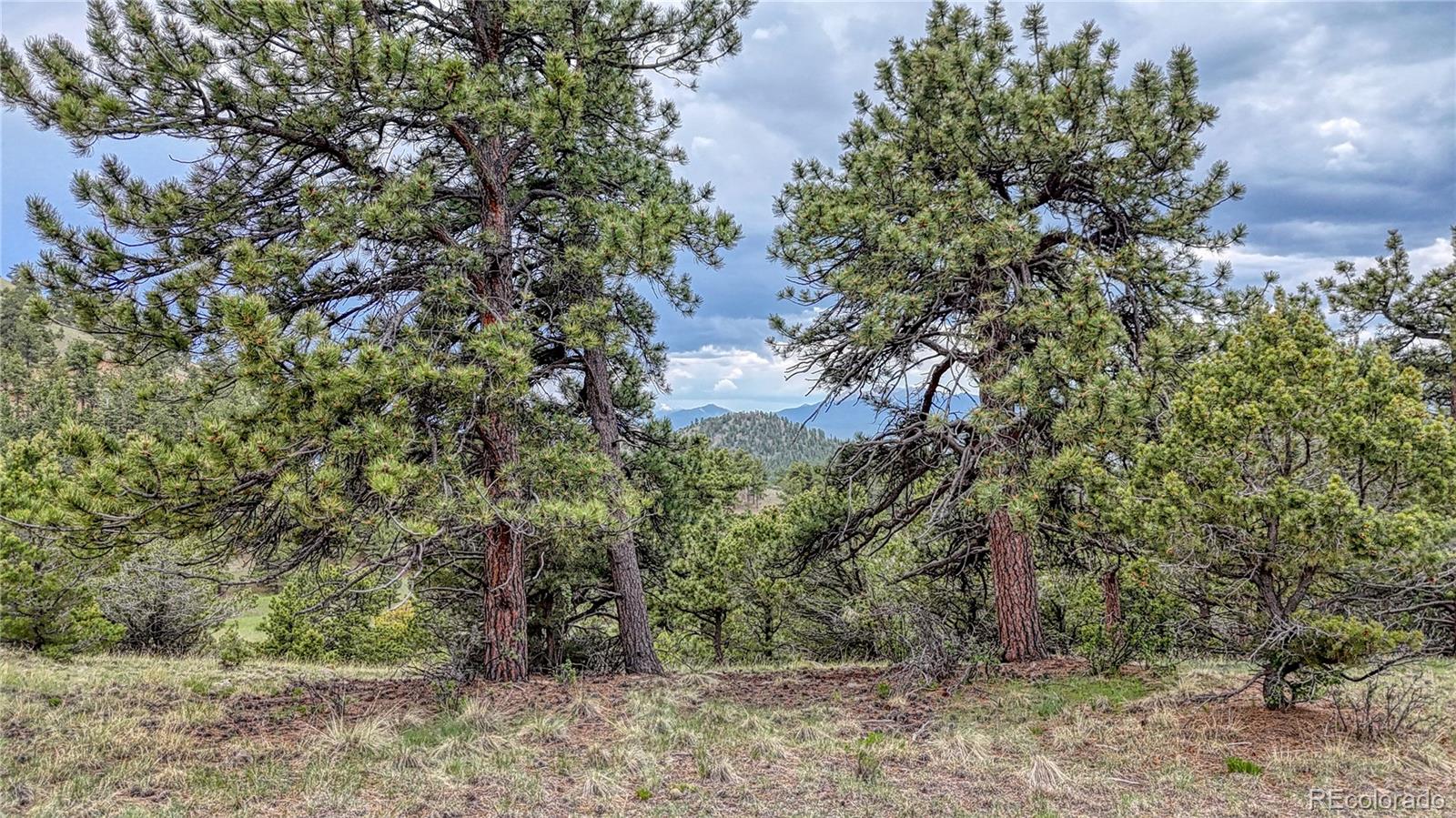 44 Honeysuckle Terrace Westcliffe CO 81252