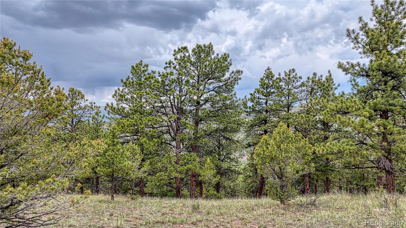 44 Honeysuckle Terrace Westcliffe CO 81252
