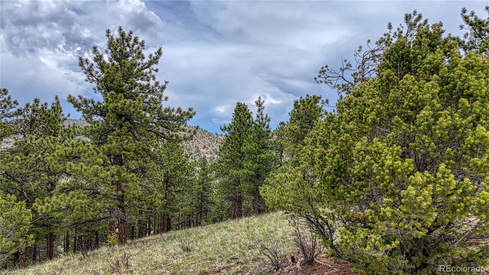 44 Honeysuckle Terrace Westcliffe CO 81252