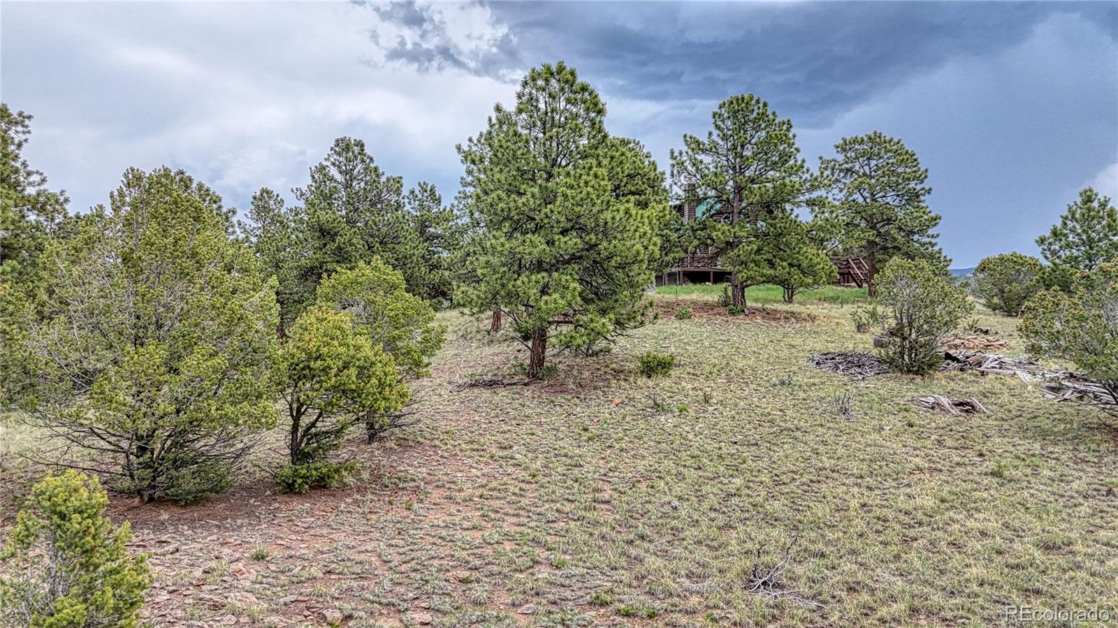 44 Honeysuckle Terrace Westcliffe CO 81252