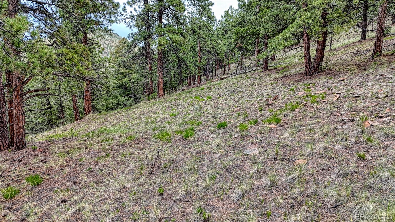 44 Honeysuckle Terrace Westcliffe CO 81252