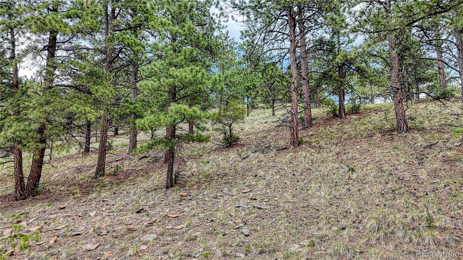44 Honeysuckle Terrace Westcliffe CO 81252