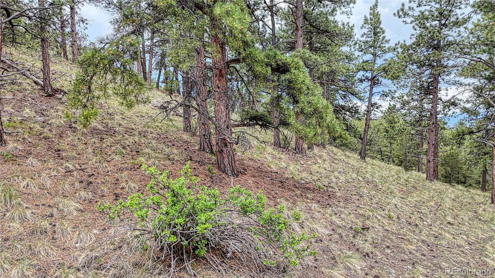44 Honeysuckle Terrace Westcliffe CO 81252