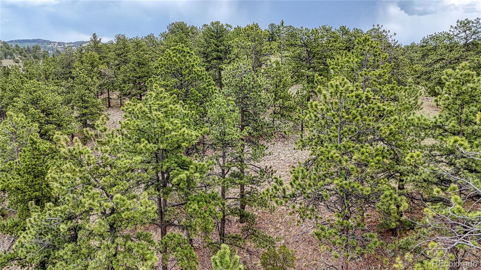 44 Honeysuckle Terrace Westcliffe CO 81252