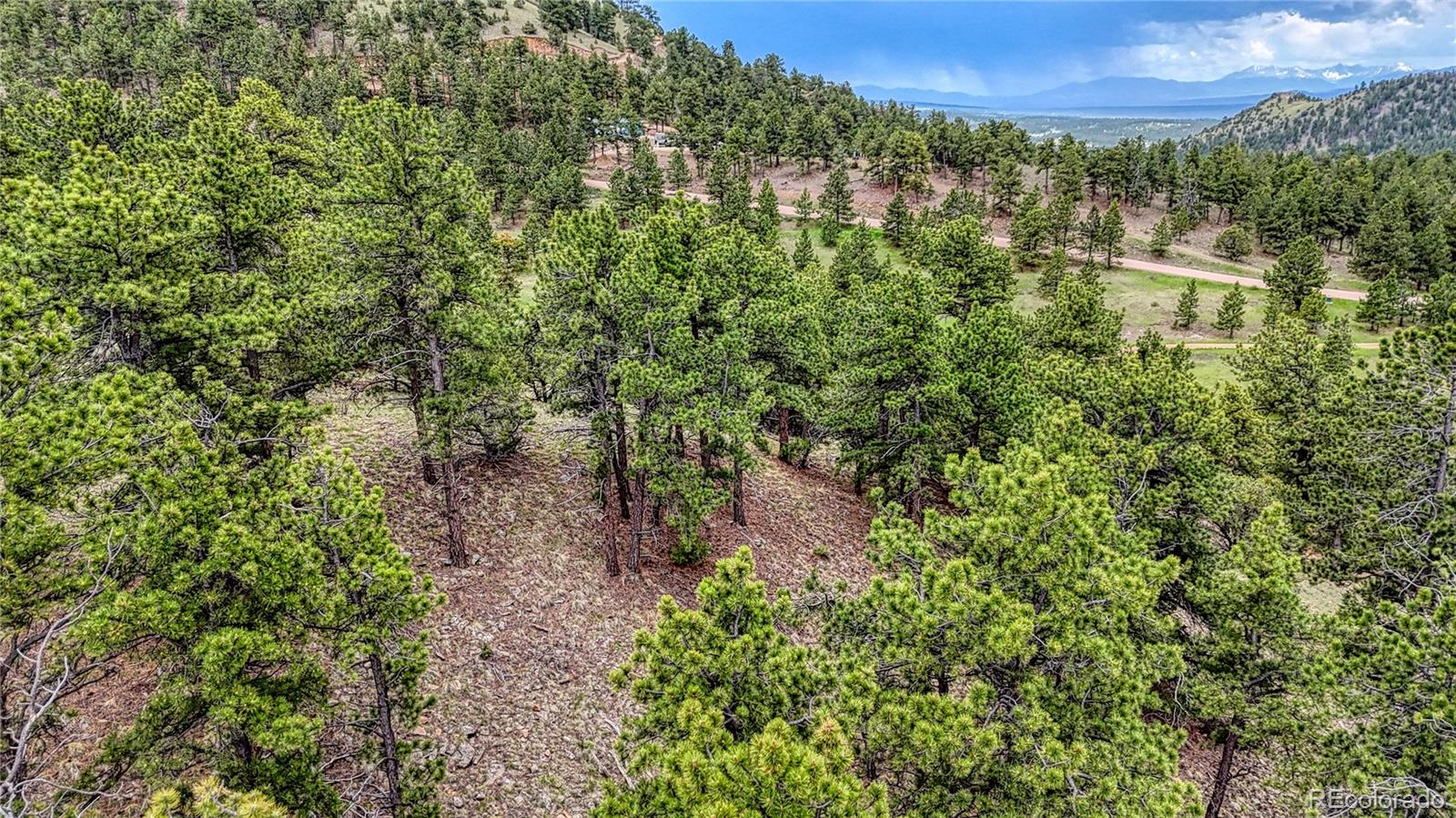 44 Honeysuckle Terrace Westcliffe CO 81252