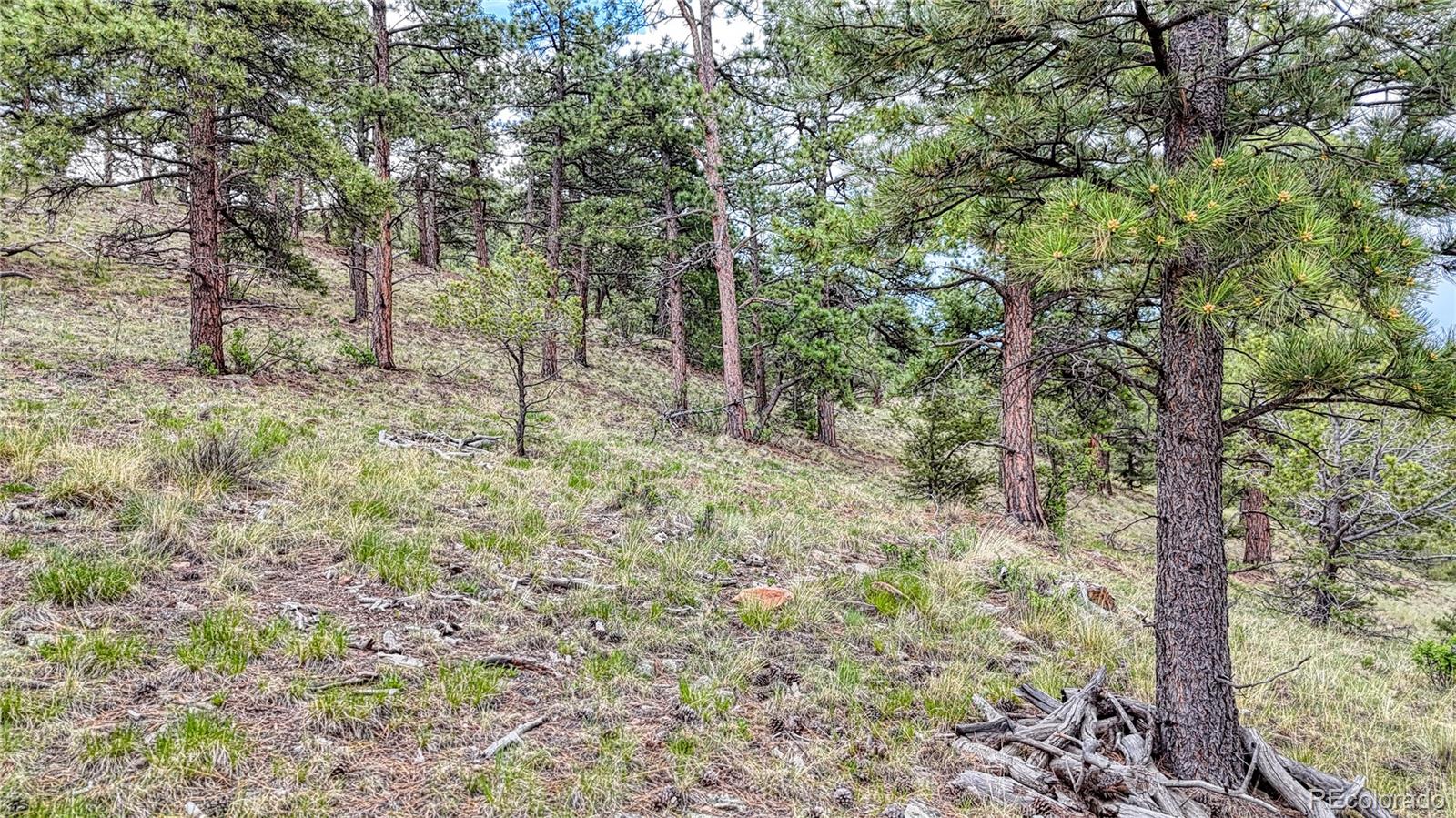 44 Honeysuckle Terrace Westcliffe CO 81252