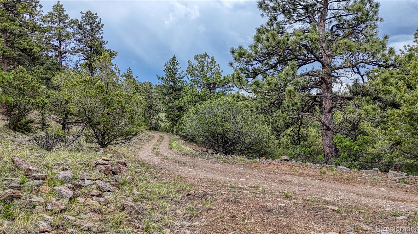 44 Honeysuckle Terrace Westcliffe CO 81252