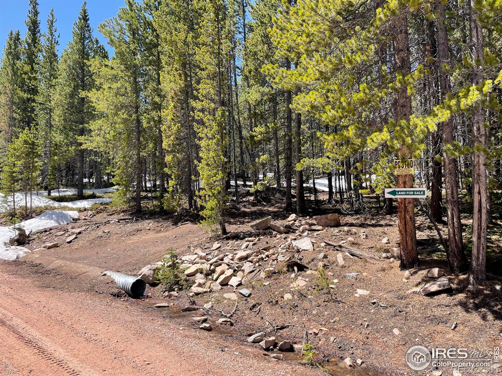 0 Forest Service 169 Road Red Feather Lakes CO 80545