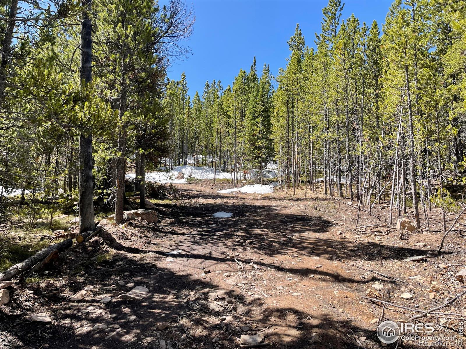 0 Forest Service 169 Road Red Feather Lakes CO 80545