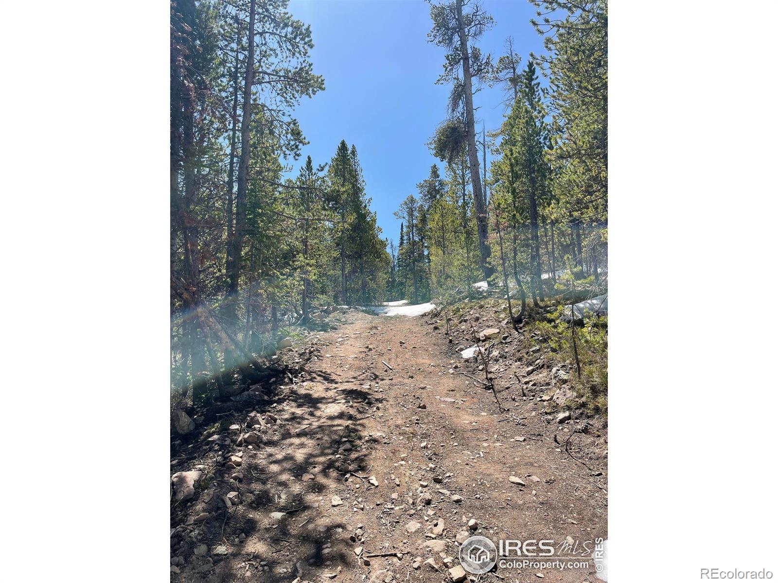 0 Forest Service 169 Road Red Feather Lakes CO 80545