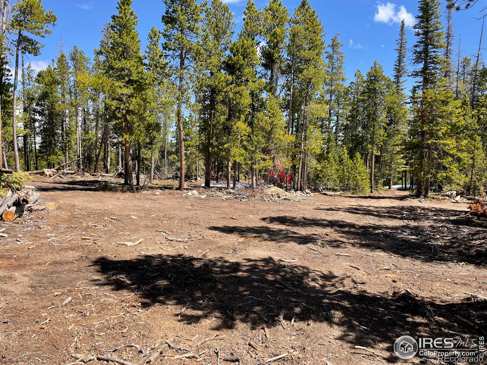 0 Forest Service 169 Road Red Feather Lakes CO 80545