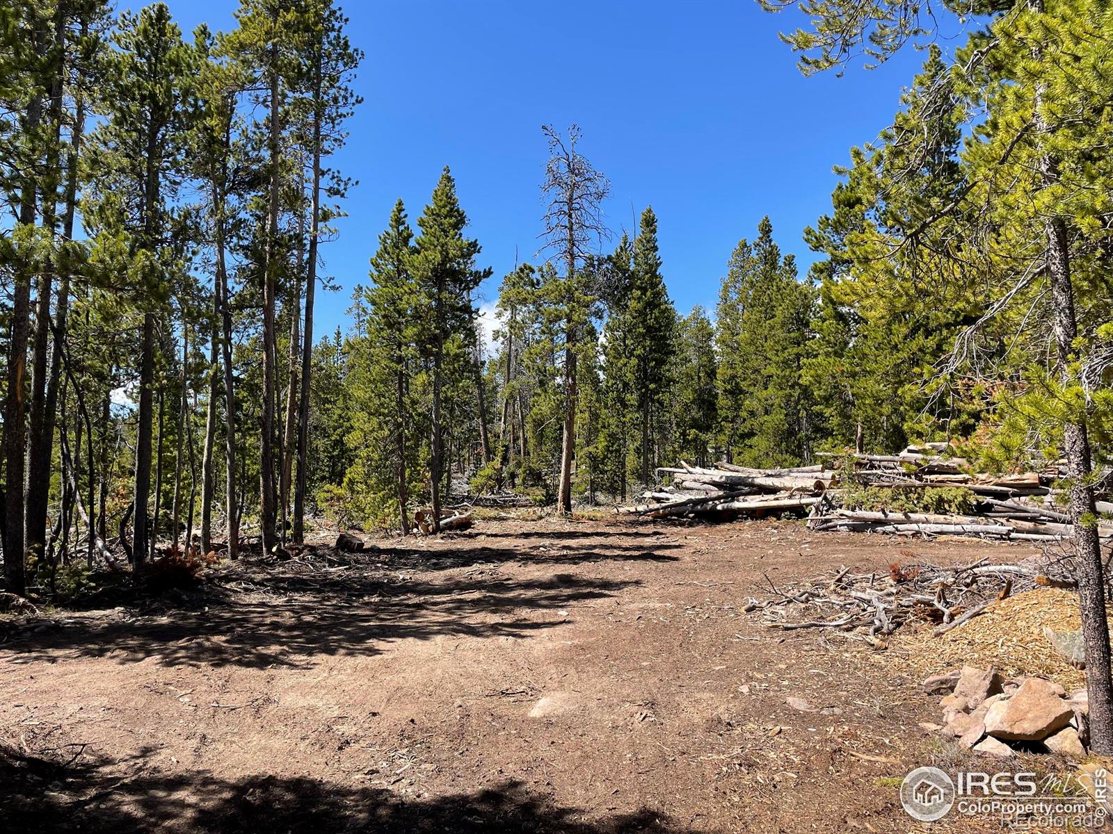 0 Forest Service 169 Road Red Feather Lakes CO 80545