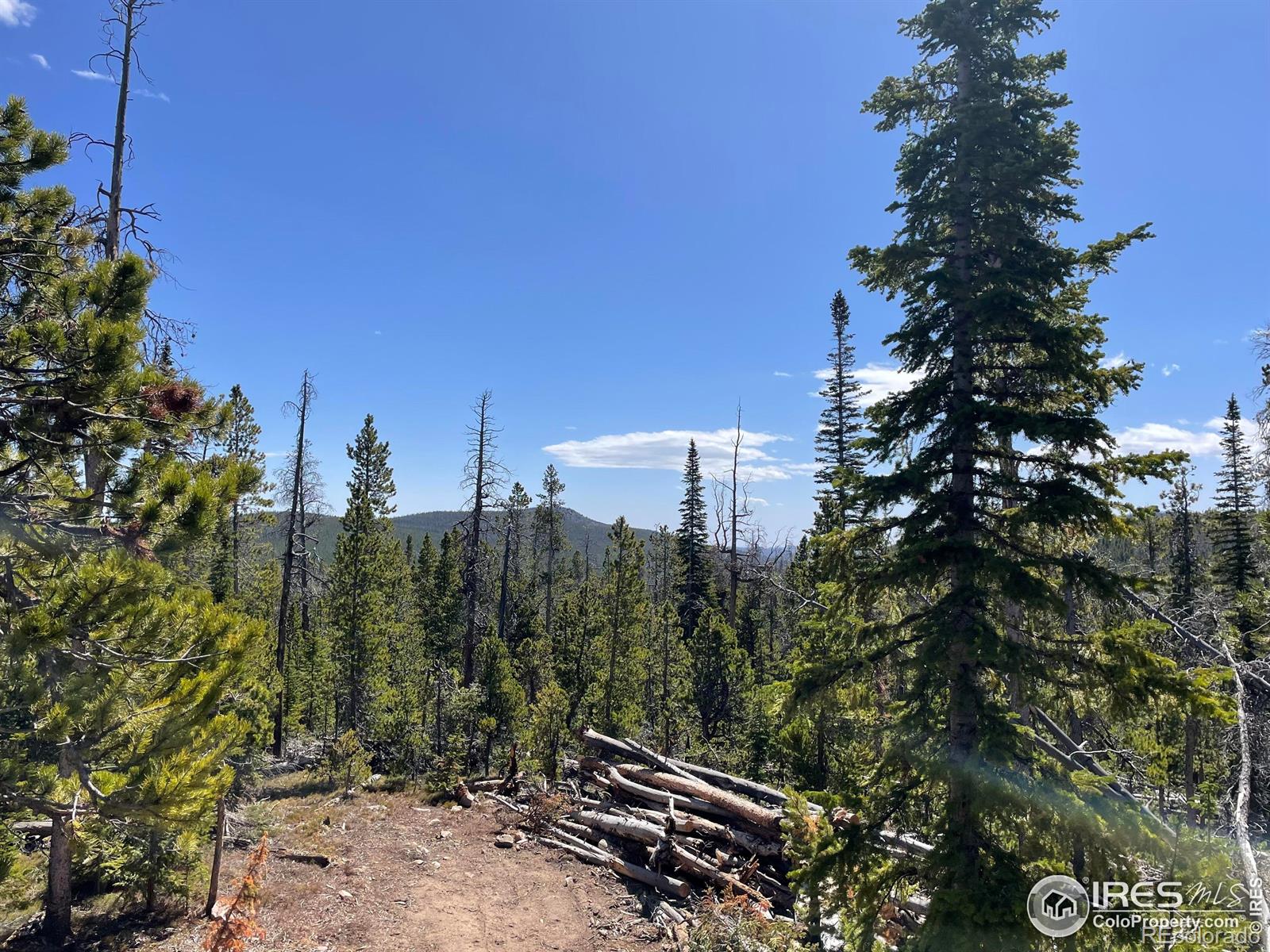 0 Forest Service 169 Road Red Feather Lakes CO 80545