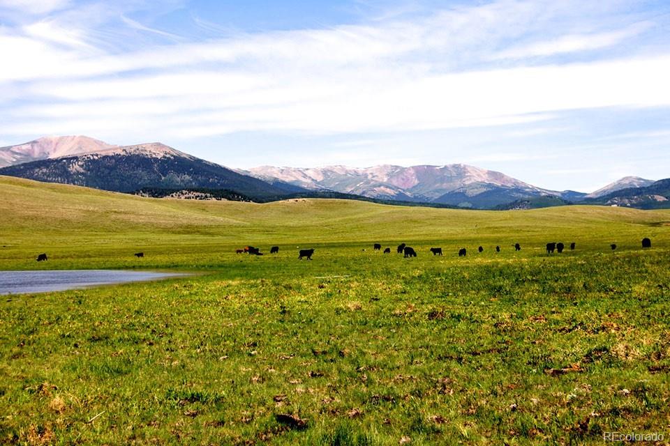 21103 Elkhorn Road Como CO 80432