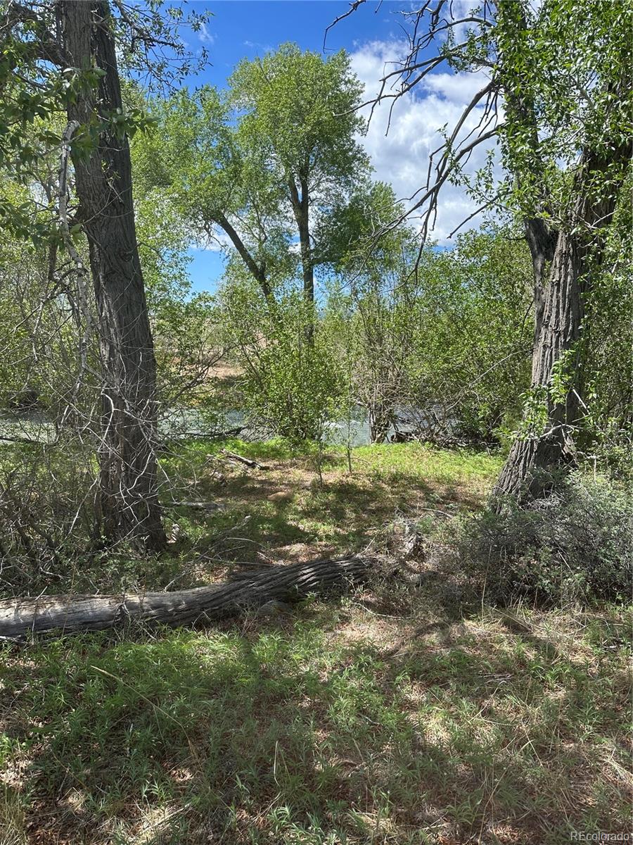 Lot 109 Alamosa River Estates Capulin CO 81124