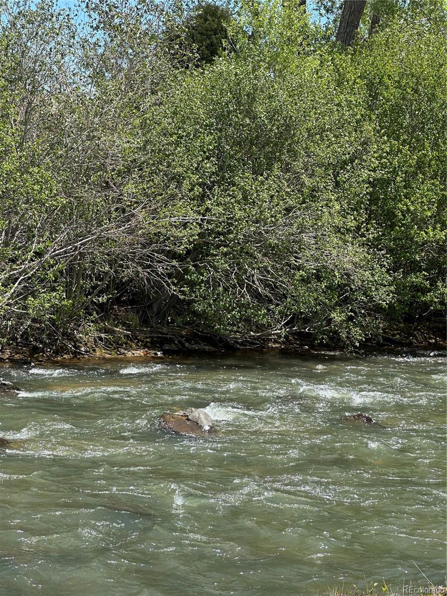 Lot 109 Alamosa River Estates Capulin CO 81124