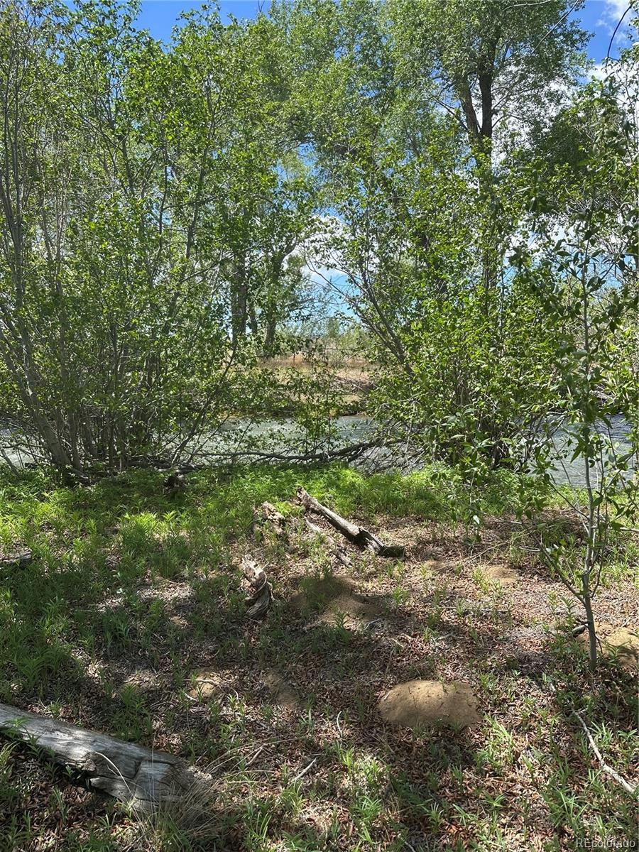 Lot 109 Alamosa River Estates Capulin CO 81124