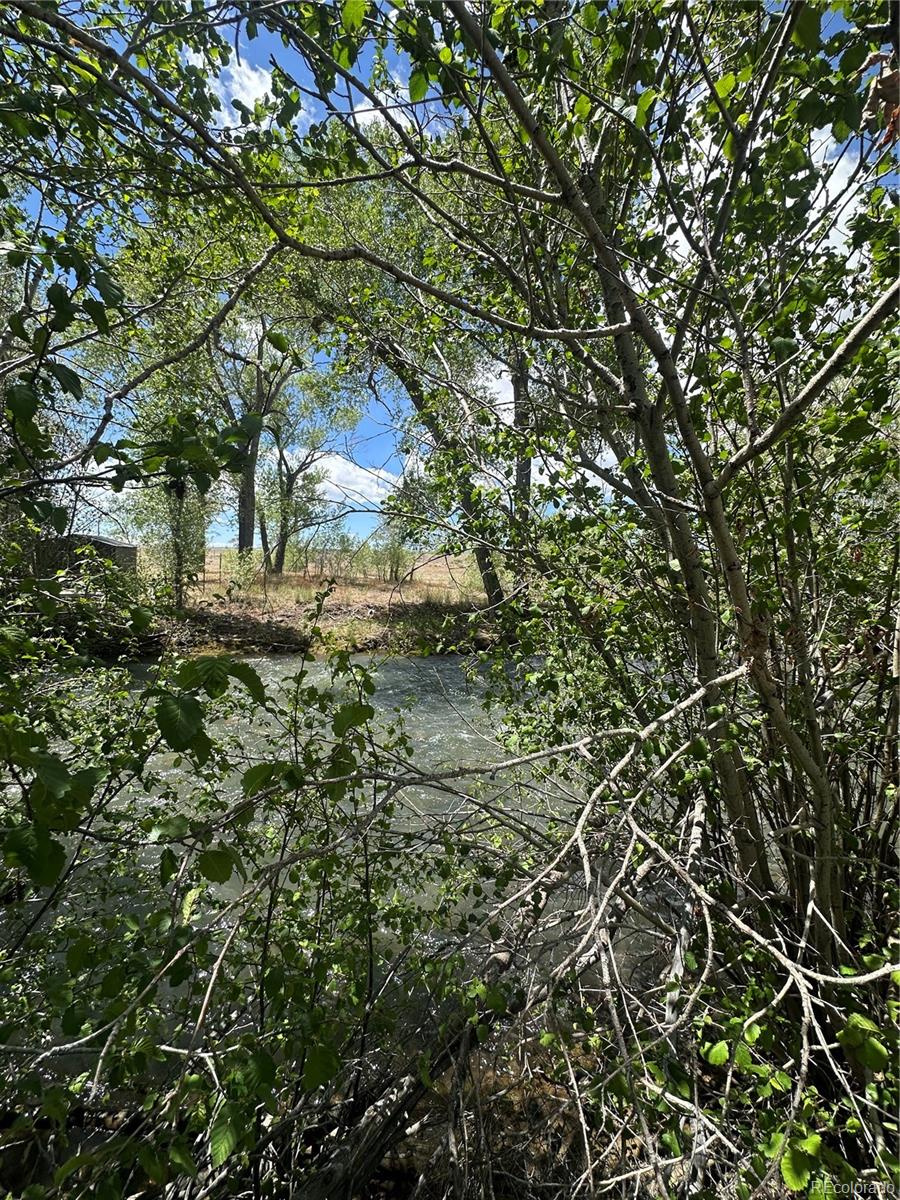 Lot 109 Alamosa River Estates Capulin CO 81124