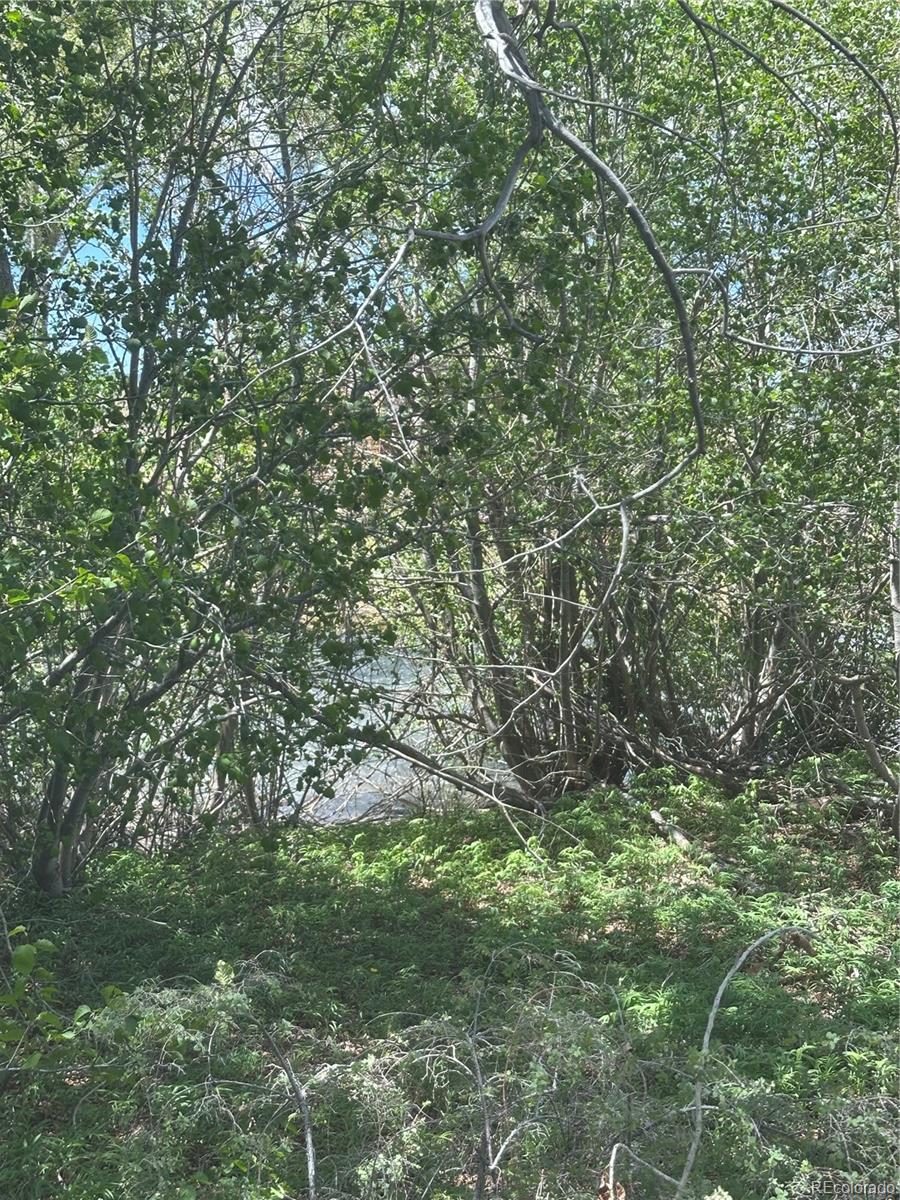 Lot 109 Alamosa River Estates Capulin CO 81124