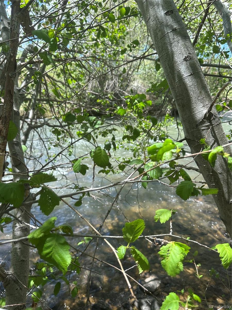 Lot 109 Alamosa River Estates Capulin CO 81124