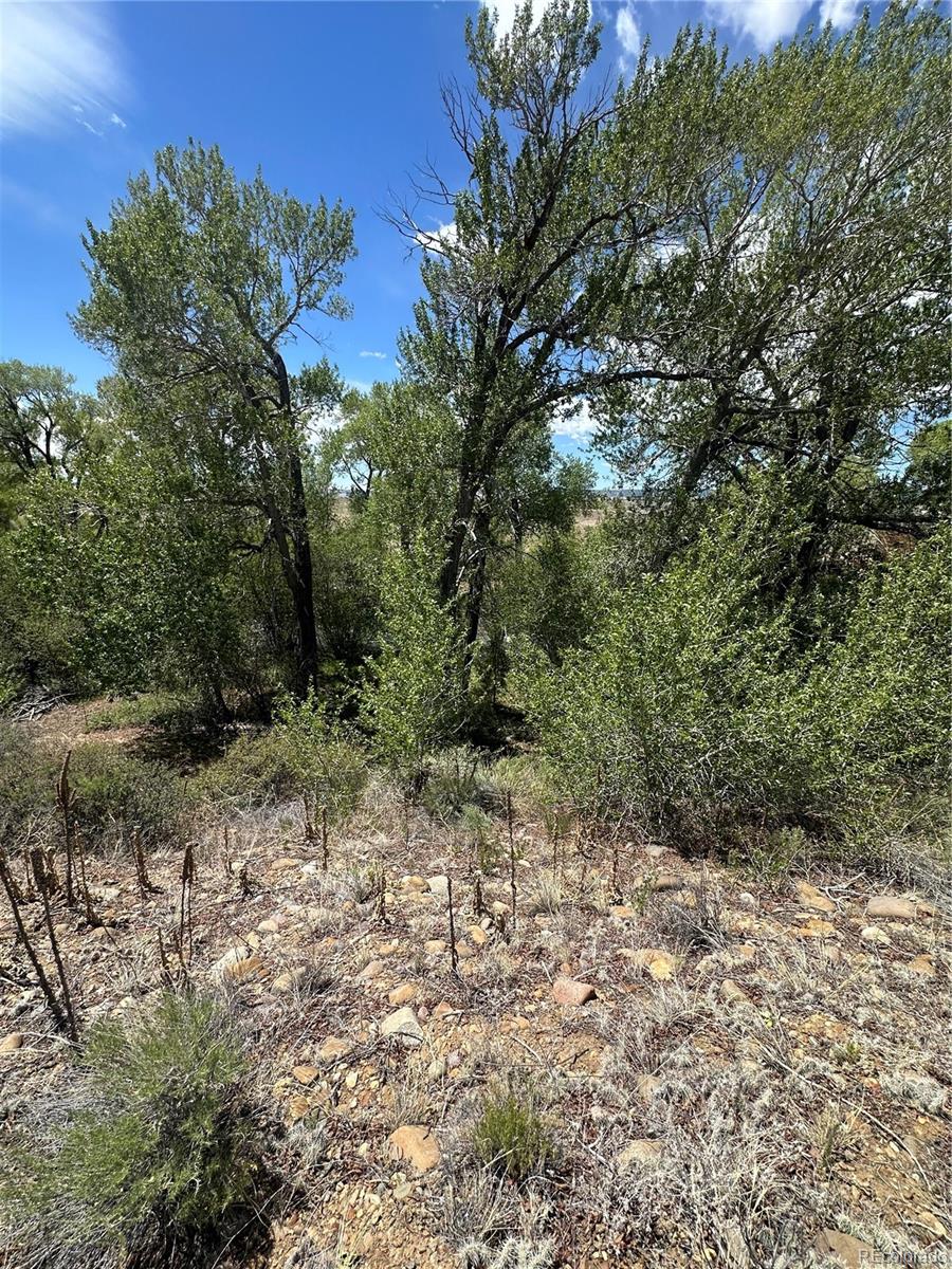 Lot 109 Alamosa River Estates Capulin CO 81124