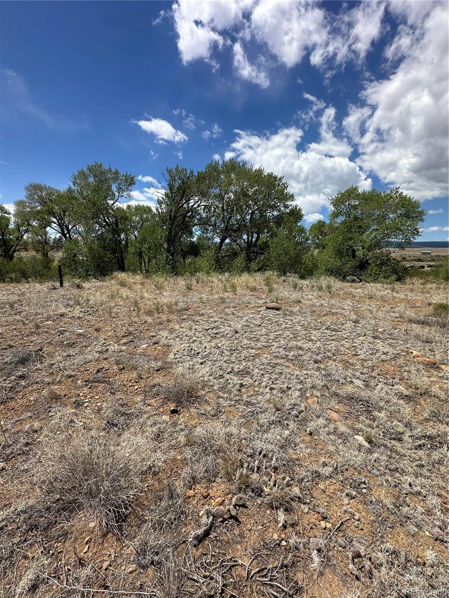 Lot 109 Alamosa River Estates Capulin CO 81124