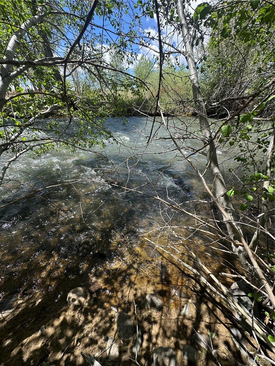 Lot 109 Alamosa River Estates Capulin CO 81124