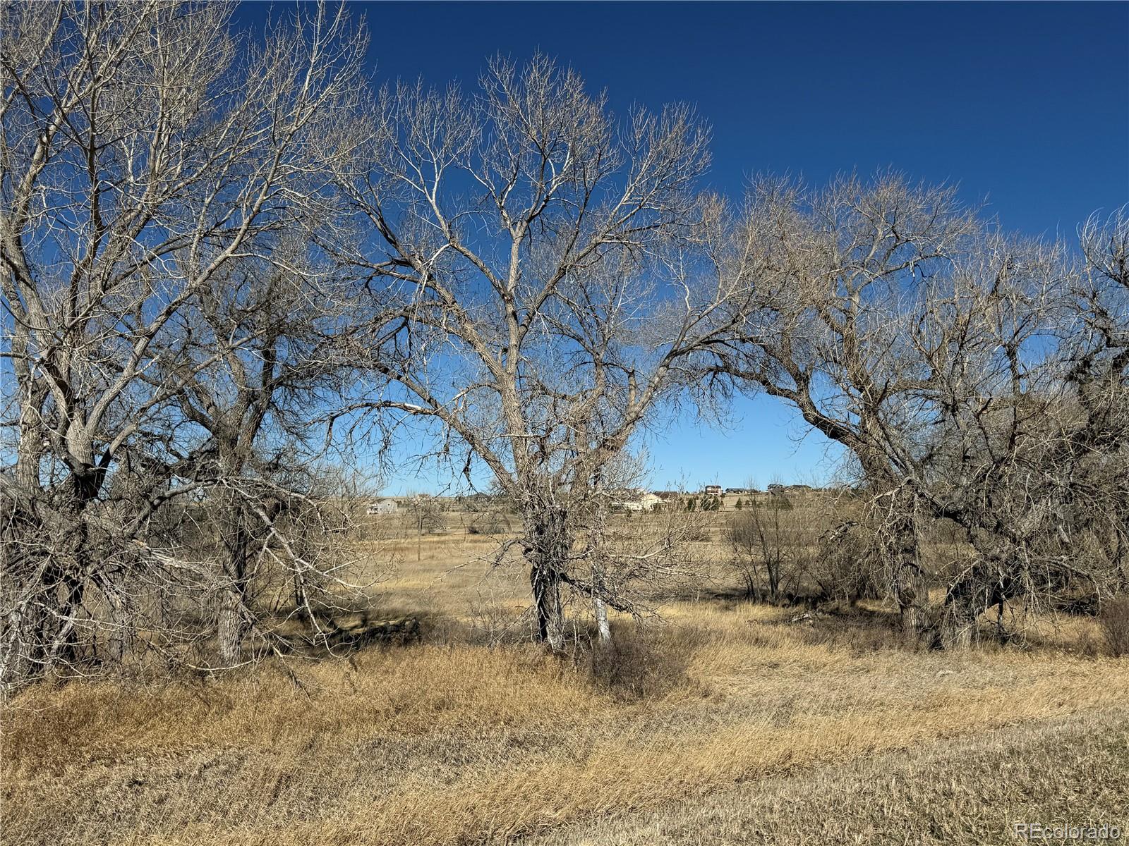 2427 Elkhorn Ranch Street Parker CO 80138