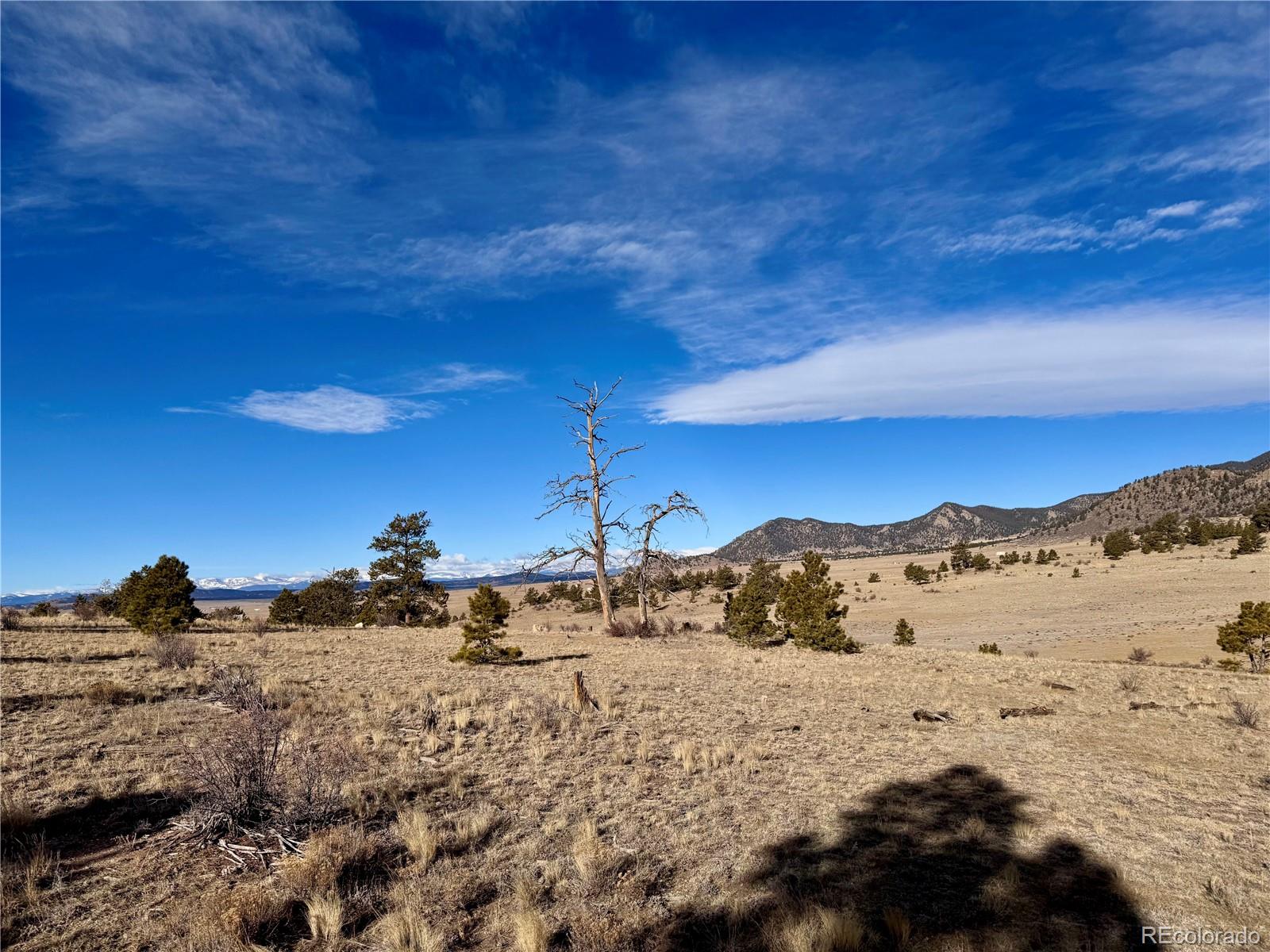 10620 Routt Road Lake George CO 80449