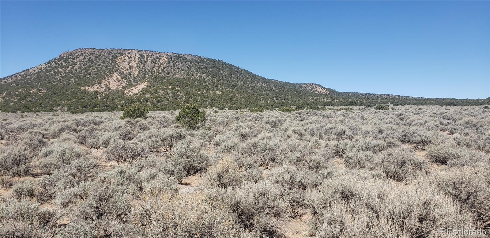 Lot 589 County Lane 6 Fort Garland CO 81133