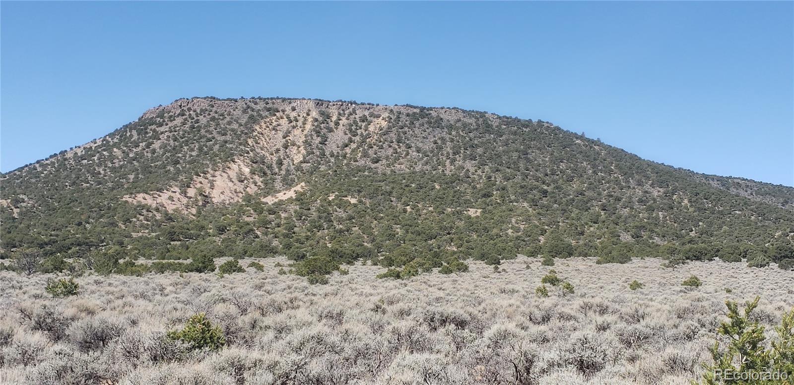 Lot 589 County Lane 6 Fort Garland CO 81133
