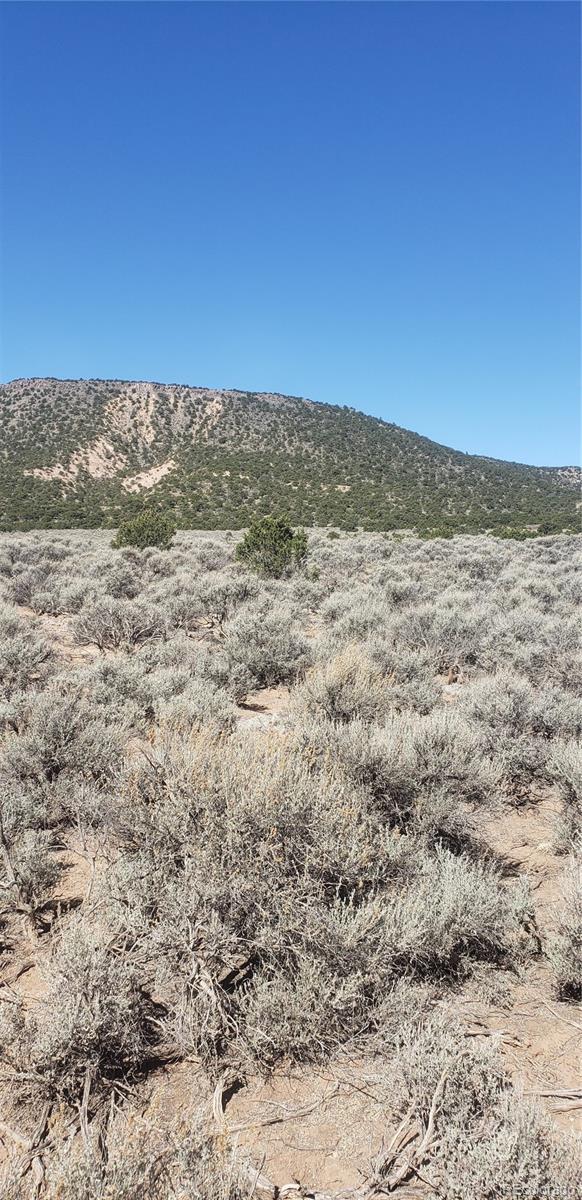 Lot 589 County Lane 6 Fort Garland CO 81133