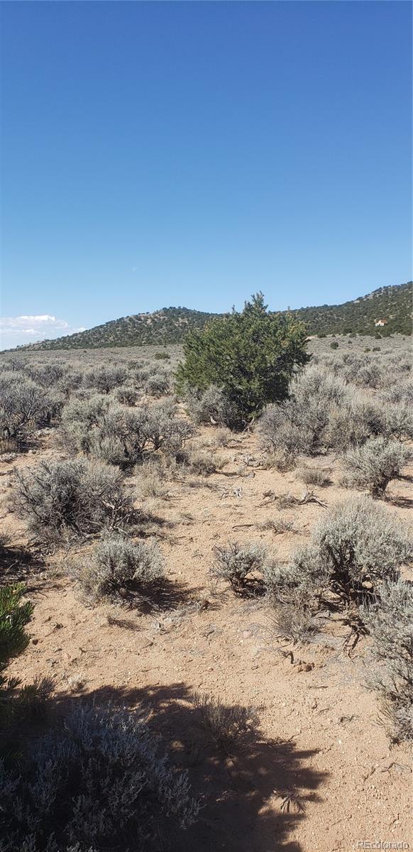 Lot 589 County Lane 6 Fort Garland CO 81133