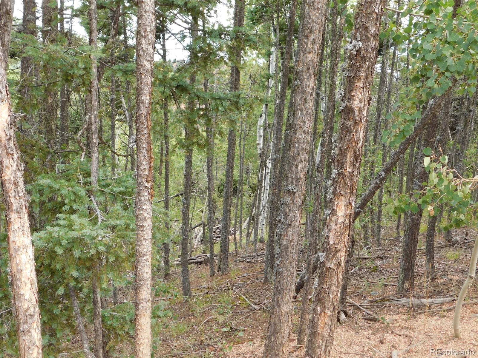 13670 Spruce Creek Circle Larkspur CO 80118