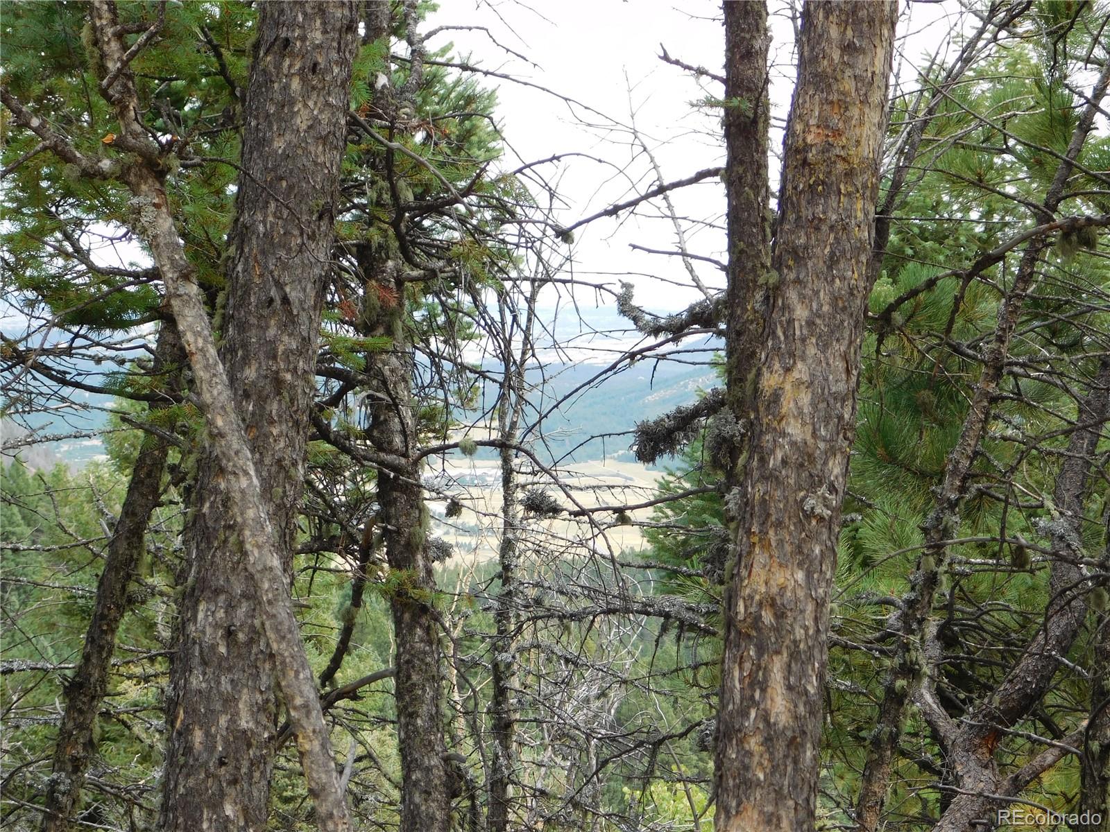 13670 Spruce Creek Circle Larkspur CO 80118