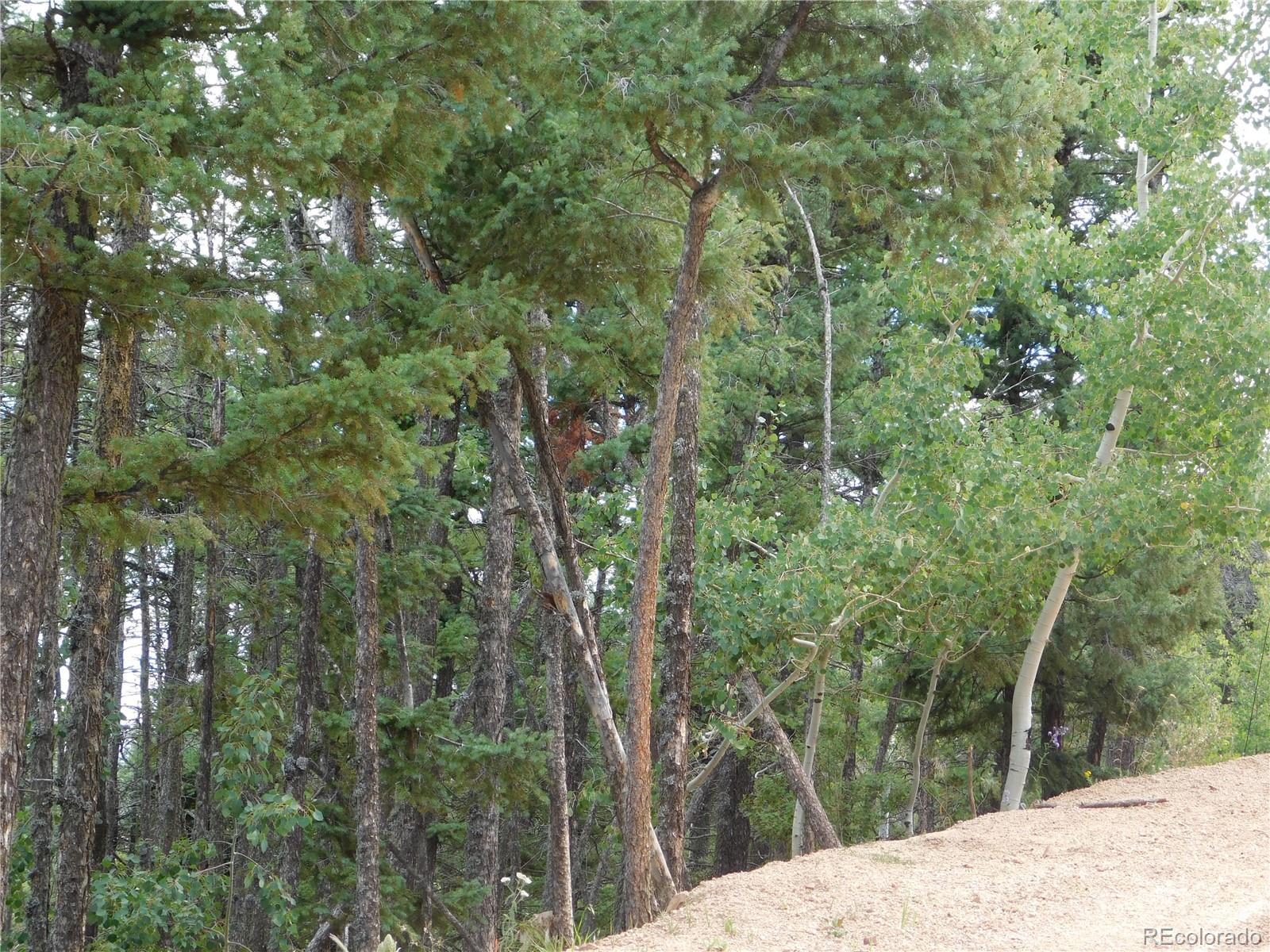 13670 Spruce Creek Circle Larkspur CO 80118