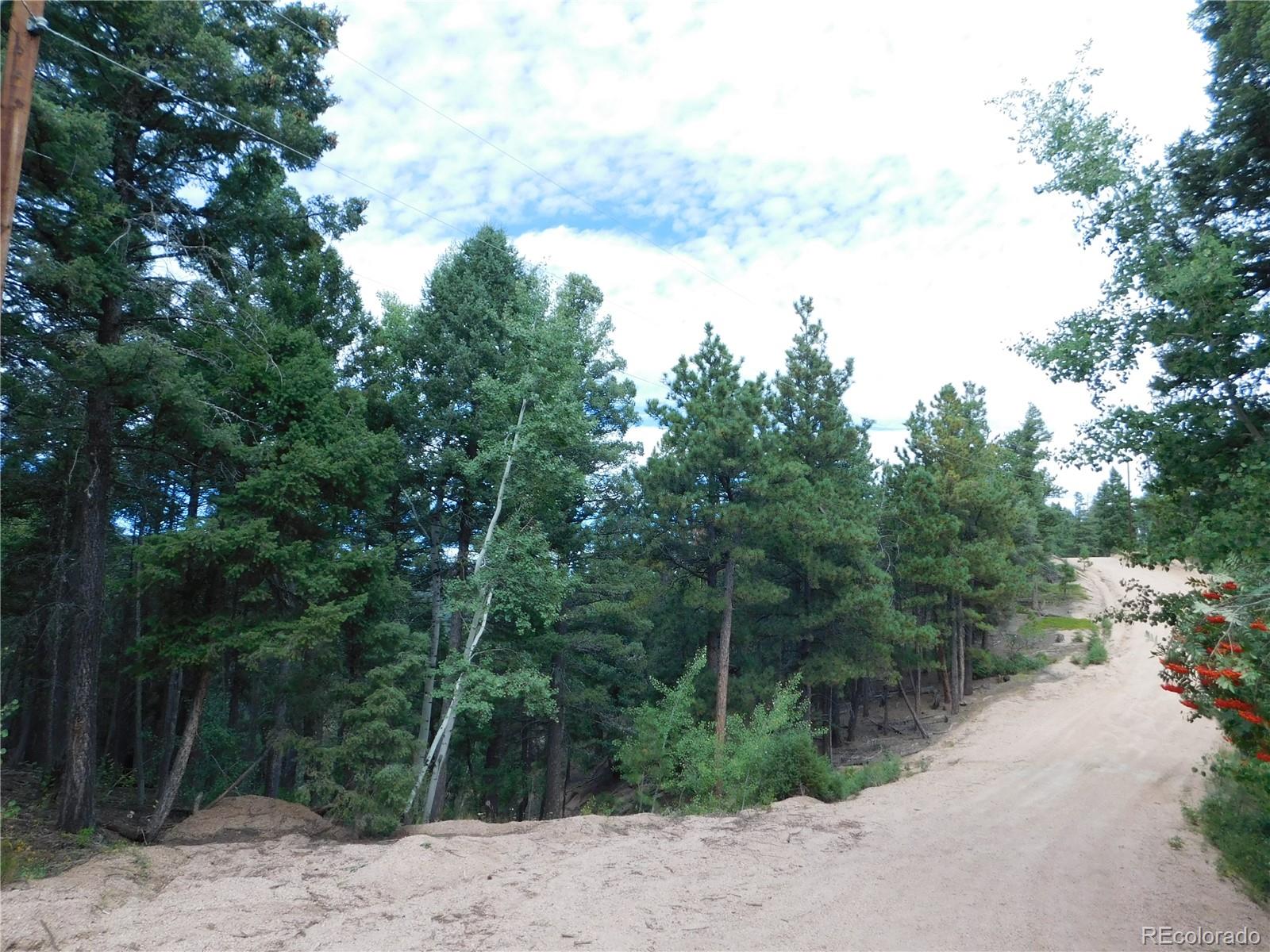 13670 Spruce Creek Circle Larkspur CO 80118