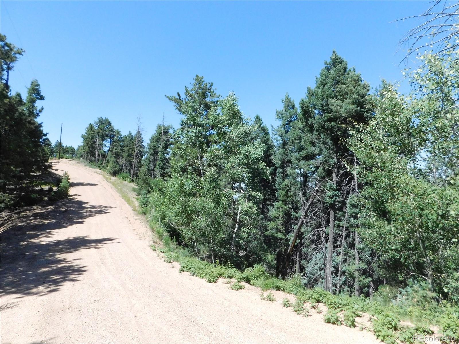 13670 Spruce Creek Circle Larkspur CO 80118