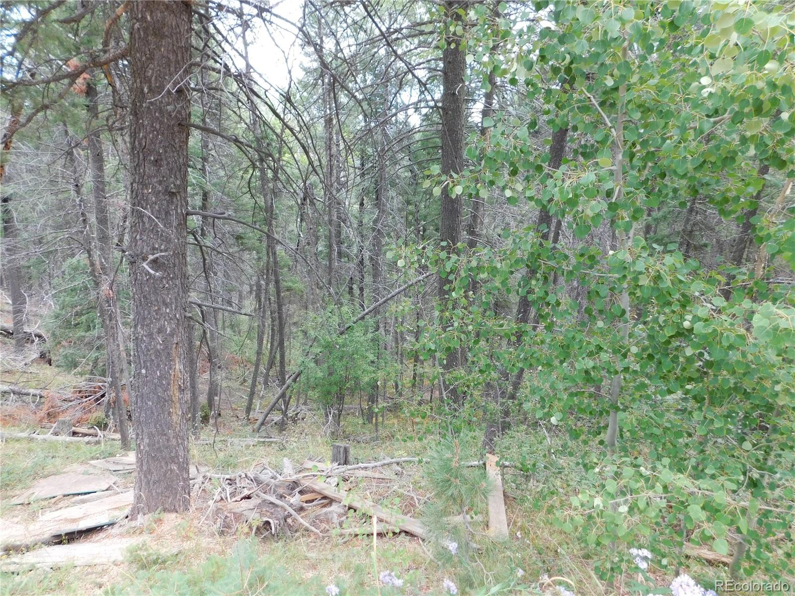 13670 Spruce Creek Circle Larkspur CO 80118