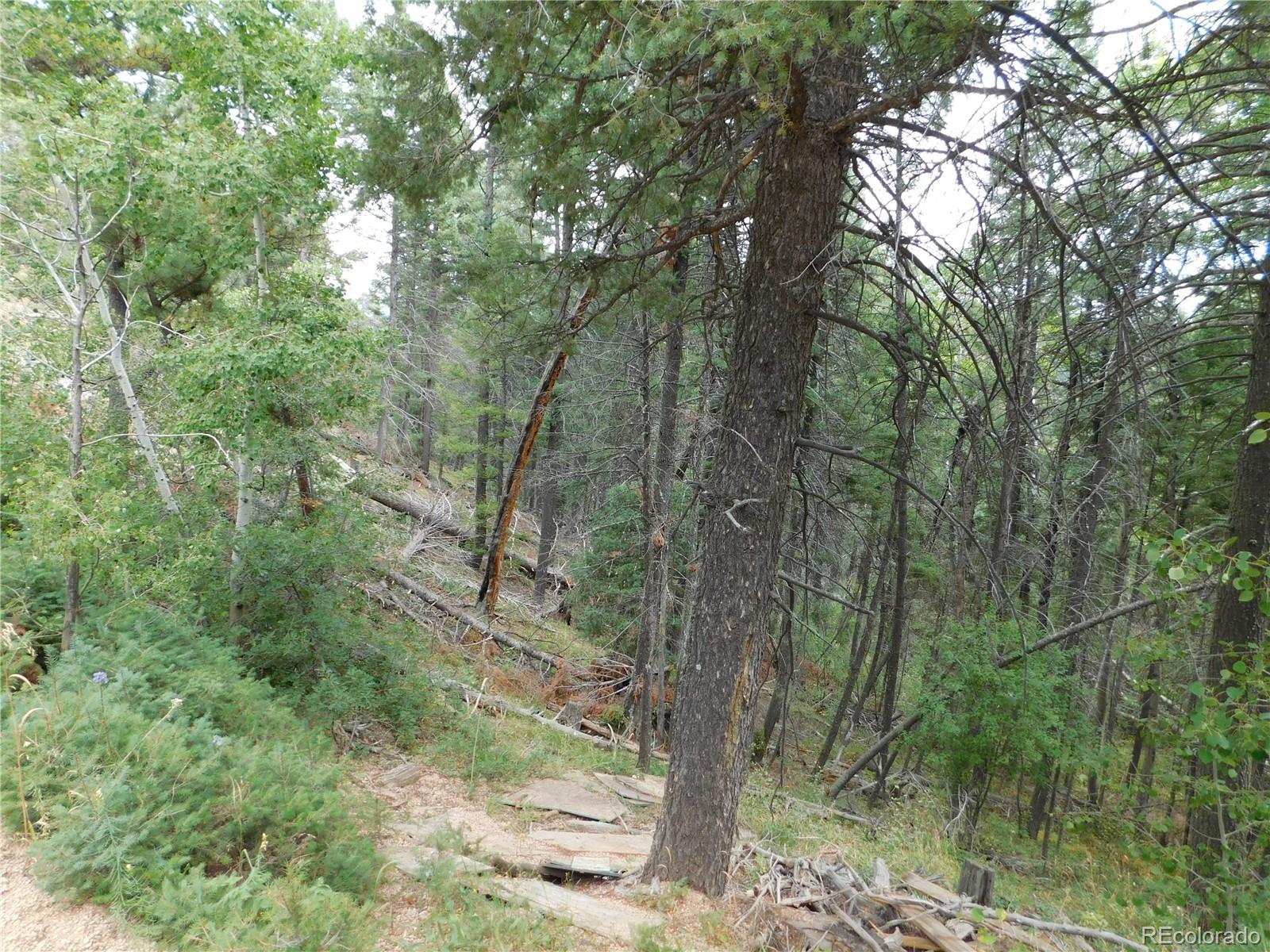 13670 Spruce Creek Circle Larkspur CO 80118