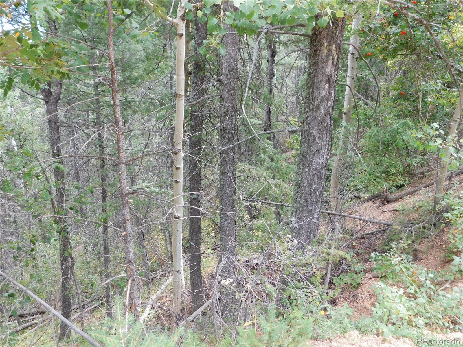 13670 Spruce Creek Circle Larkspur CO 80118