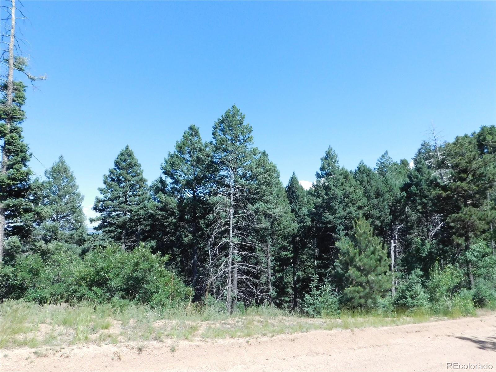 13670 Spruce Creek Circle Larkspur CO 80118