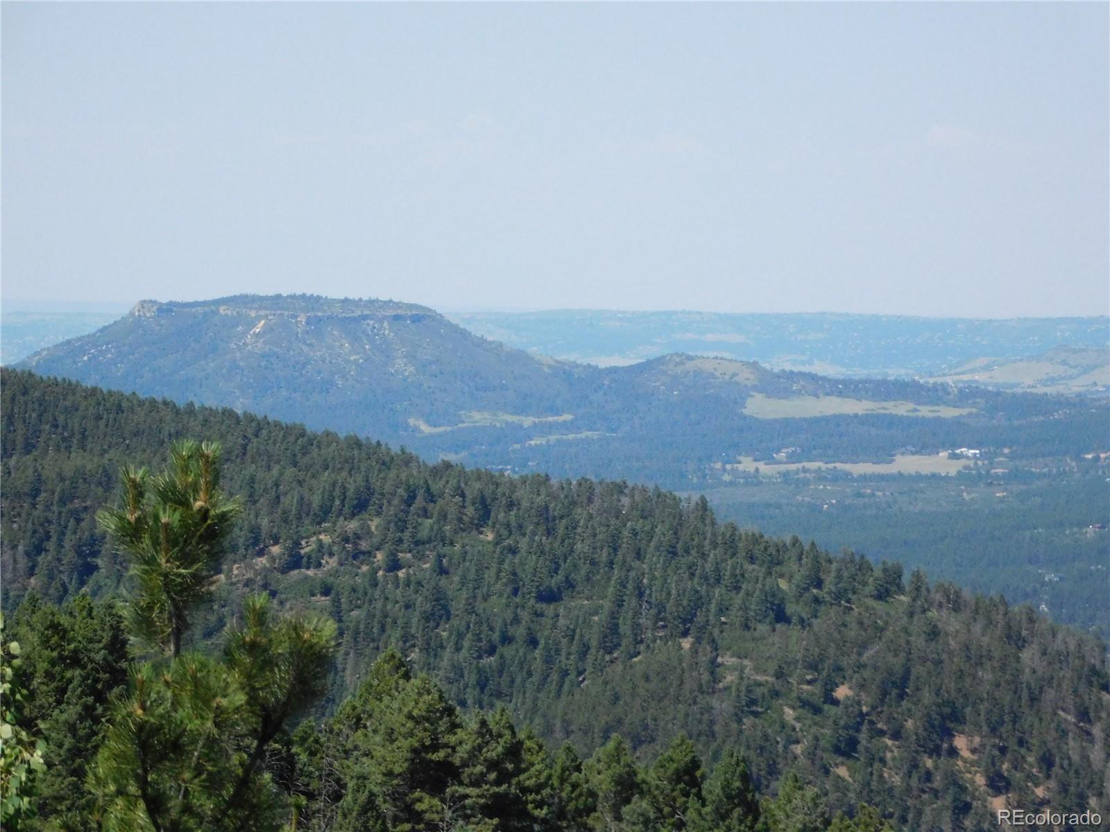 13670 Spruce Creek Circle Larkspur CO 80118